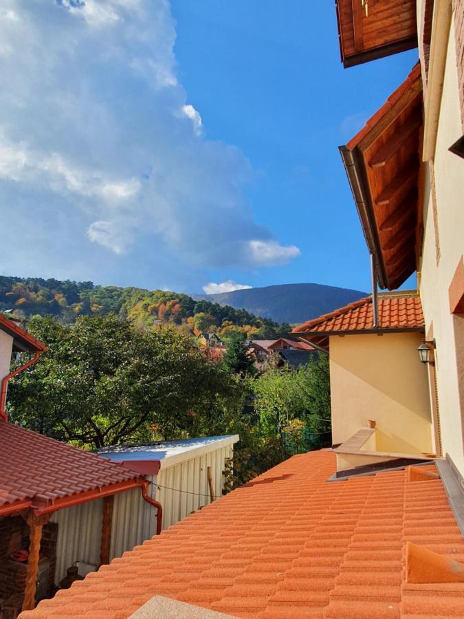 Appartement Apartament la casă în curte comună à Codlea Extérieur photo