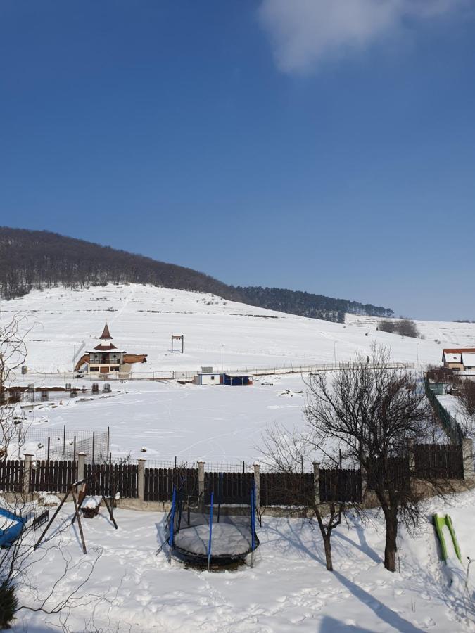 Appartement Apartament la casă în curte comună à Codlea Extérieur photo