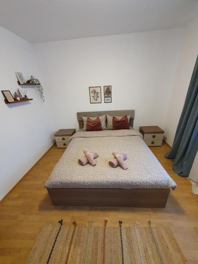 Appartement Apartament la casă în curte comună à Codlea Extérieur photo
