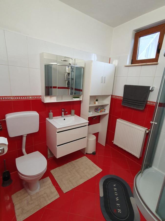 Appartement Apartament la casă în curte comună à Codlea Extérieur photo