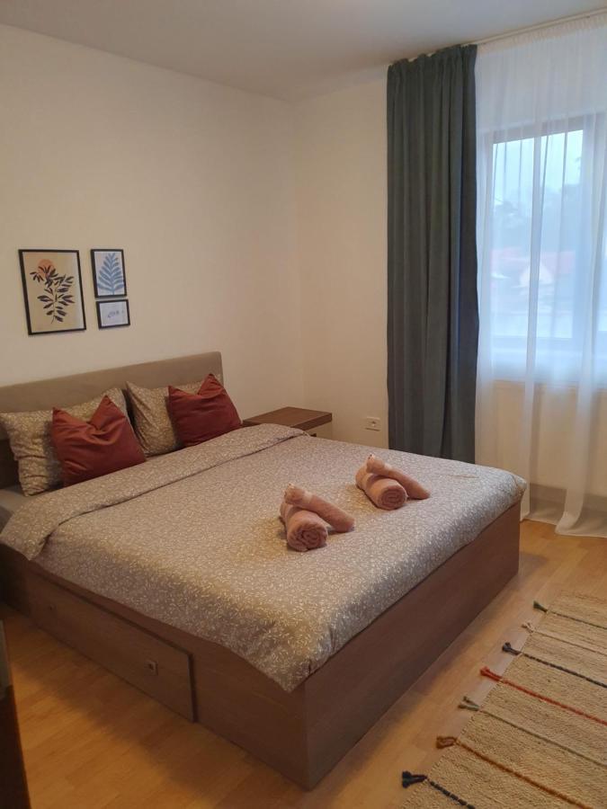Appartement Apartament la casă în curte comună à Codlea Extérieur photo