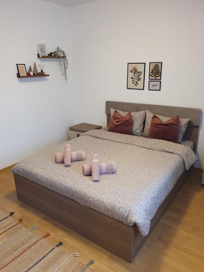 Appartement Apartament la casă în curte comună à Codlea Extérieur photo